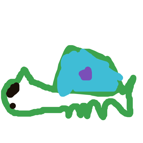 StealthMagikarp531's drawing of Bulbasaur — Pokémon sketch on Sketchdex