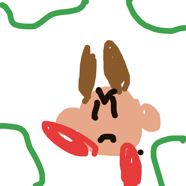 Pinsir drawing