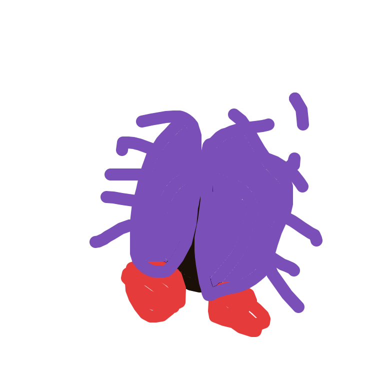 Cloyster drawing