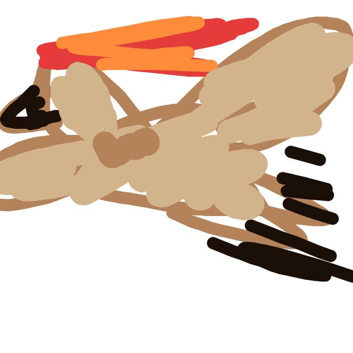 RadiantDewgong394's drawing of Pidgeot — Pokémon sketch on Sketchdex