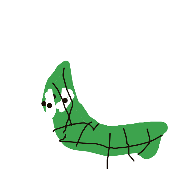 Metapod drawing
