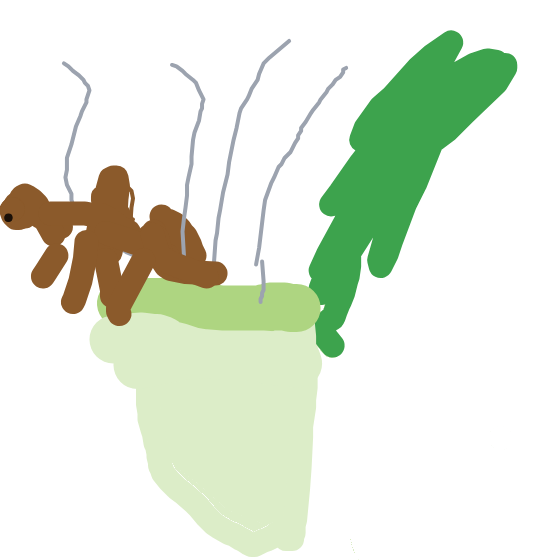 LightHitmonlee491's drawing of Victreebel — Pokémon sketch on Sketchdex