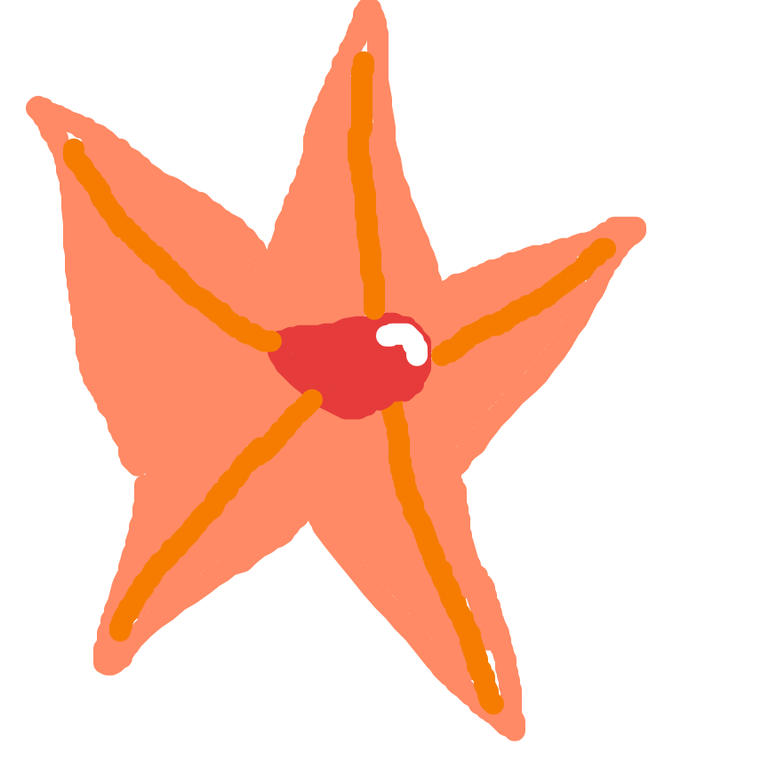 Staryu drawing