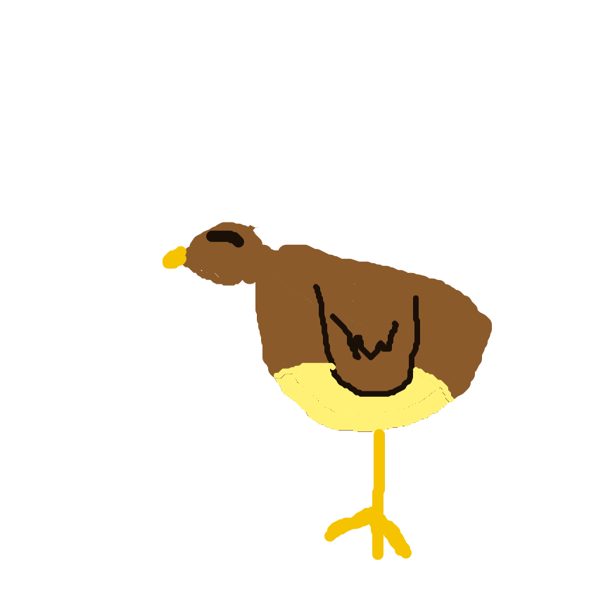 Pidgey drawing
