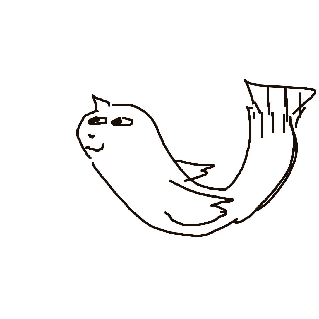 Dewgong drawing