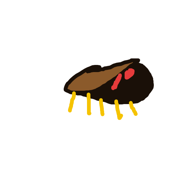 Kabuto drawing