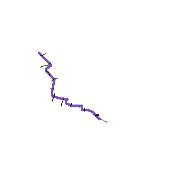 Ekans drawing