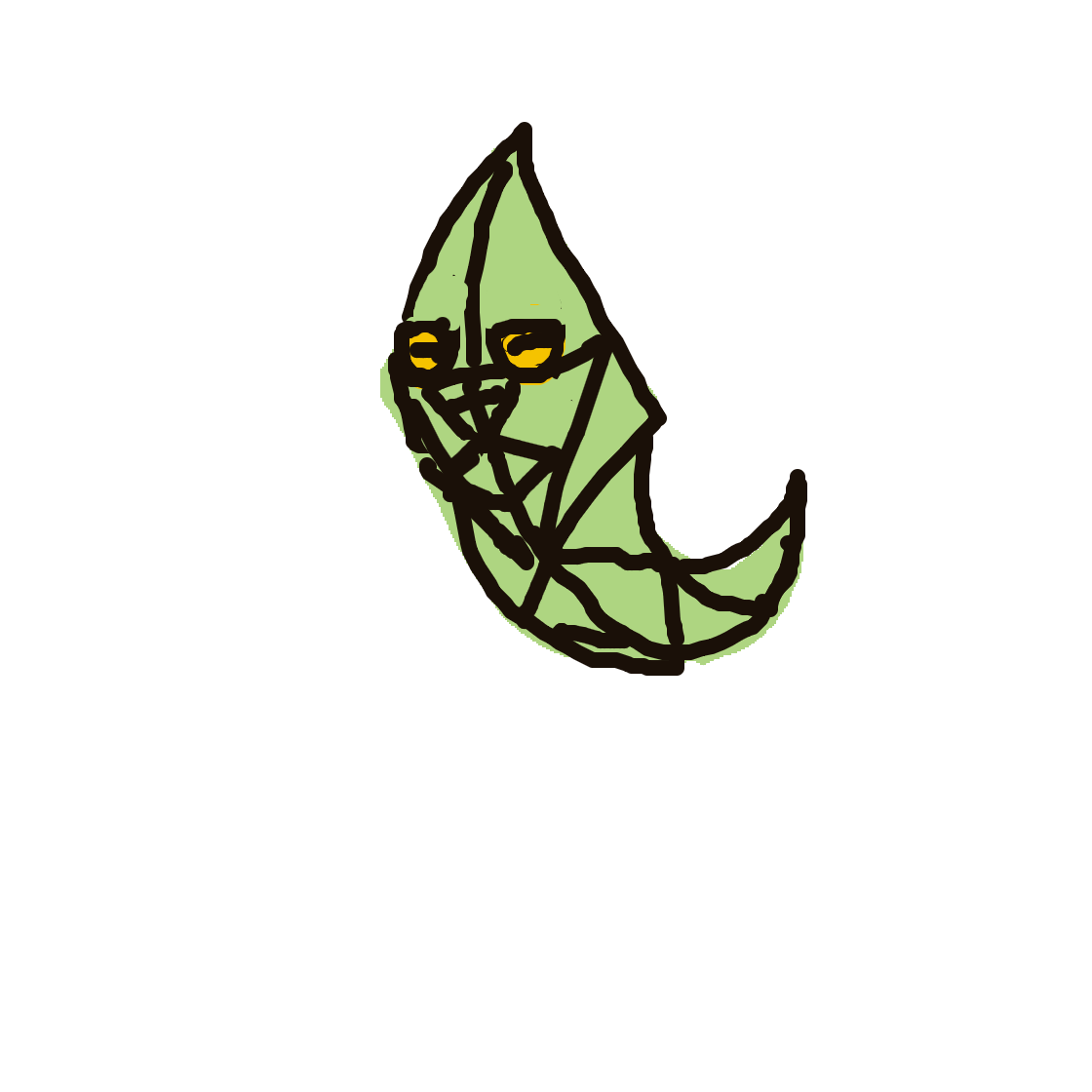 Metapod drawing