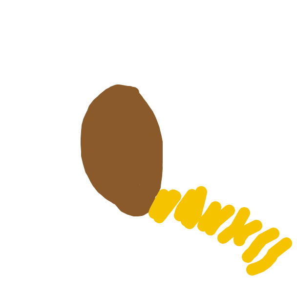Hitmonlee drawing