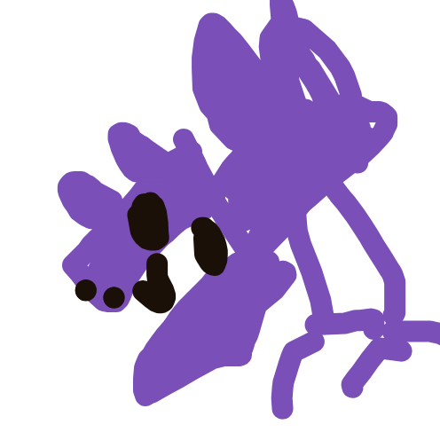 Aerodactyl drawing