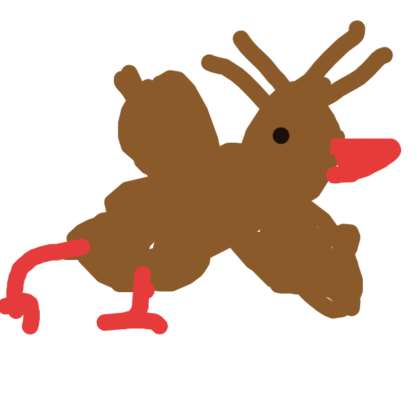 Pidgeot drawing