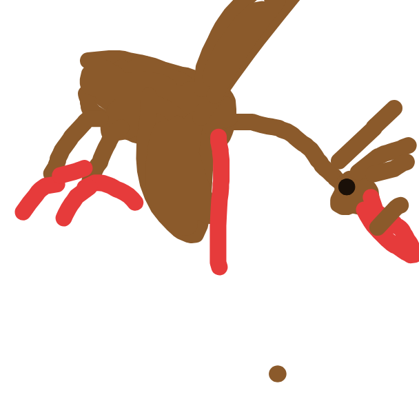 Fearow drawing