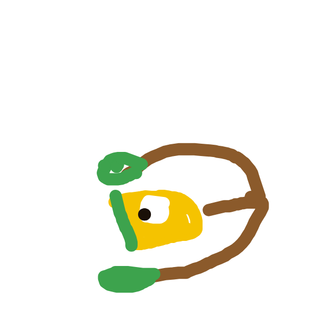 Weepinbell drawing