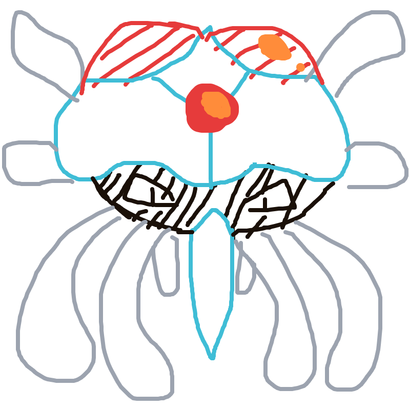 Justasodacan's drawing of Tentacruel — Pokémon sketch on Sketchdex