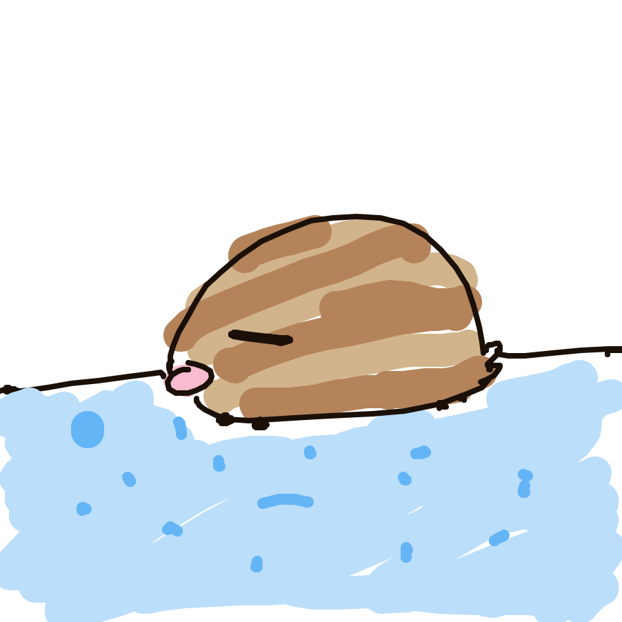 mycoalsmells's drawing of Swinub — Pokémon sketch on Sketchdex