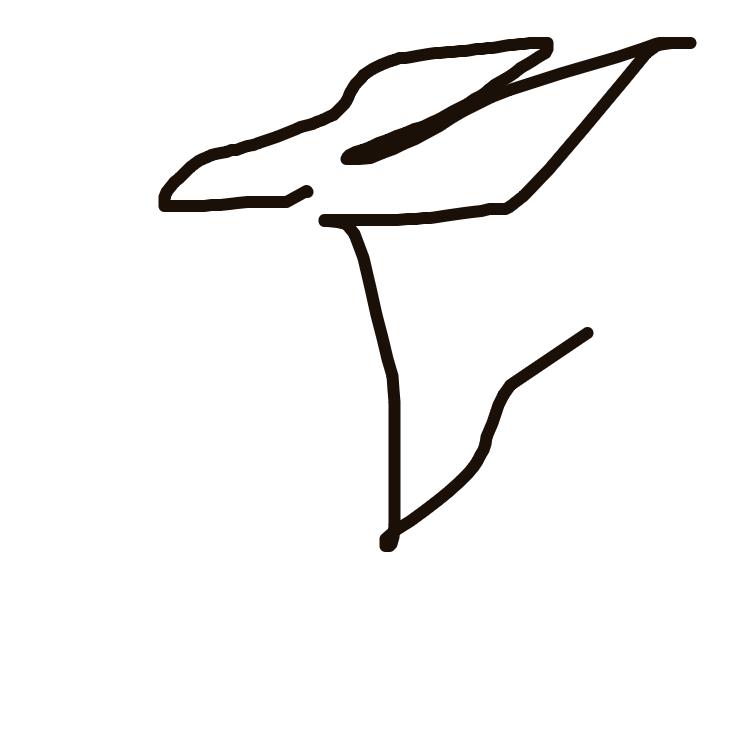 PrimalPidgeot668's drawing of Charizard — Pokémon sketch on Sketchdex