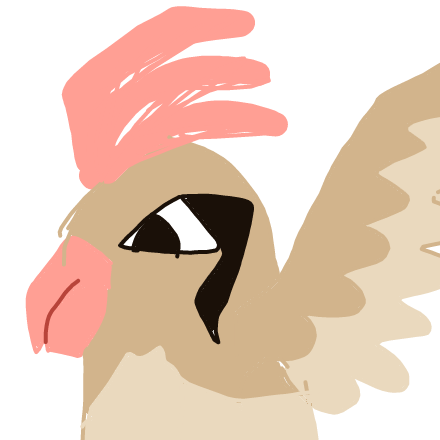 Pitote's drawing of Pidgeotto — Pokémon sketch on Sketchdex