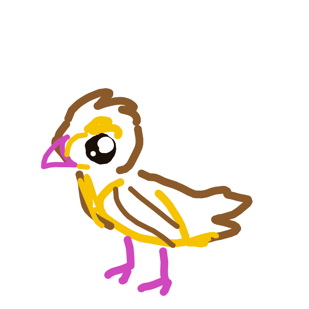 NeoHitmonlee886's drawing of Pidgey — Pokémon sketch on Sketchdex