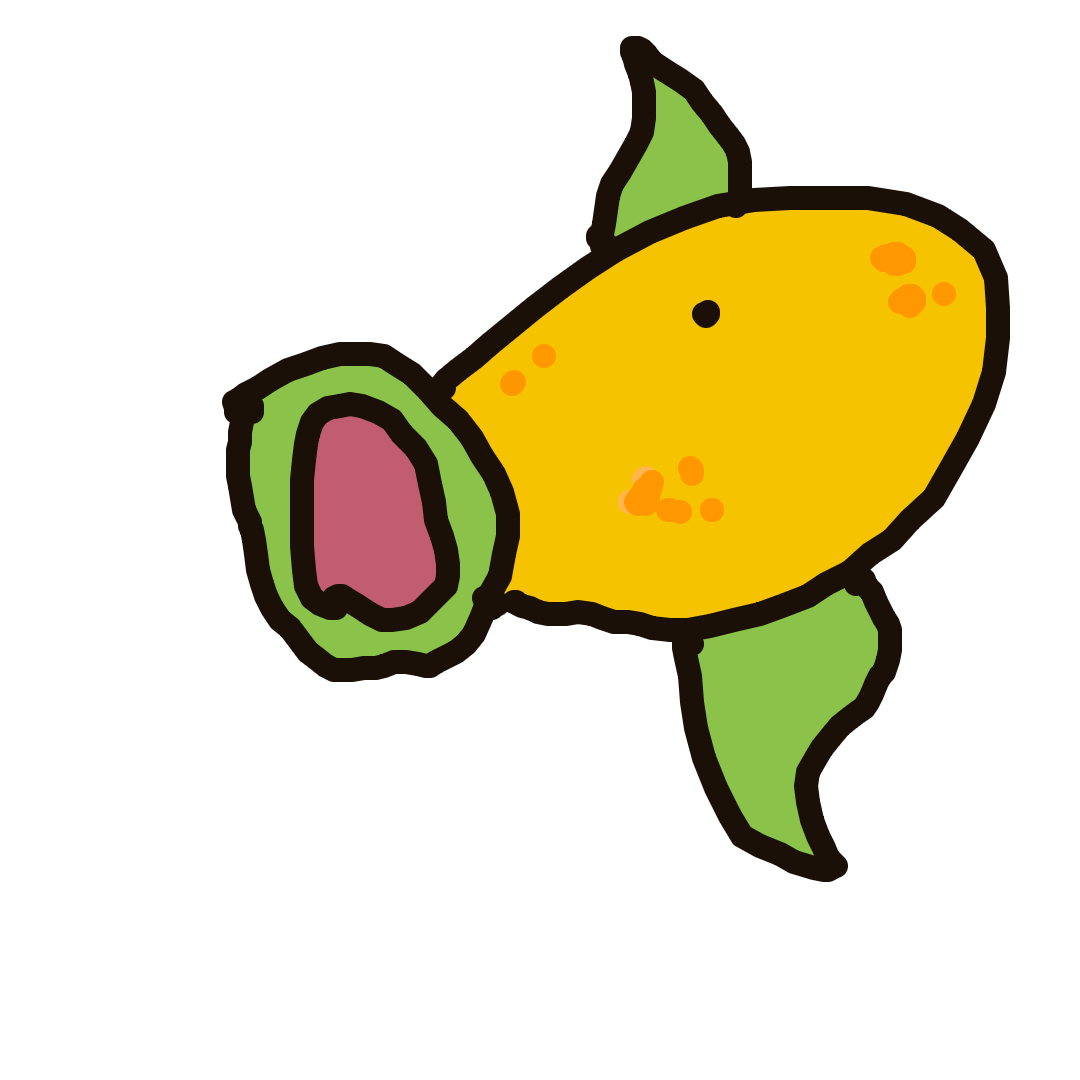 Weepinbell drawing