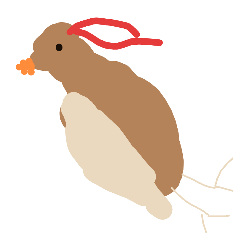 ToxicDugtrio704's drawing of Pidgey — Pokémon sketch on Sketchdex