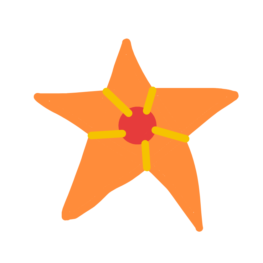 CrimsonRaichu486's drawing of Staryu — Pokémon sketch on Sketchdex
