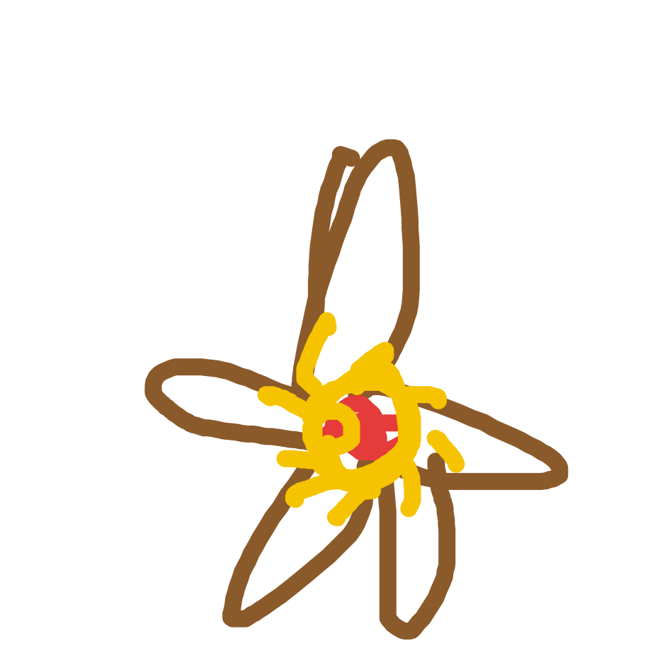 Staryu drawing