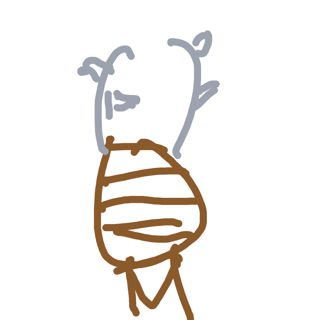 Pinsir drawing