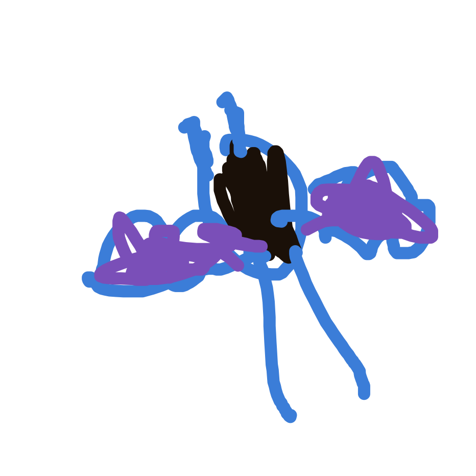 Zubat drawing