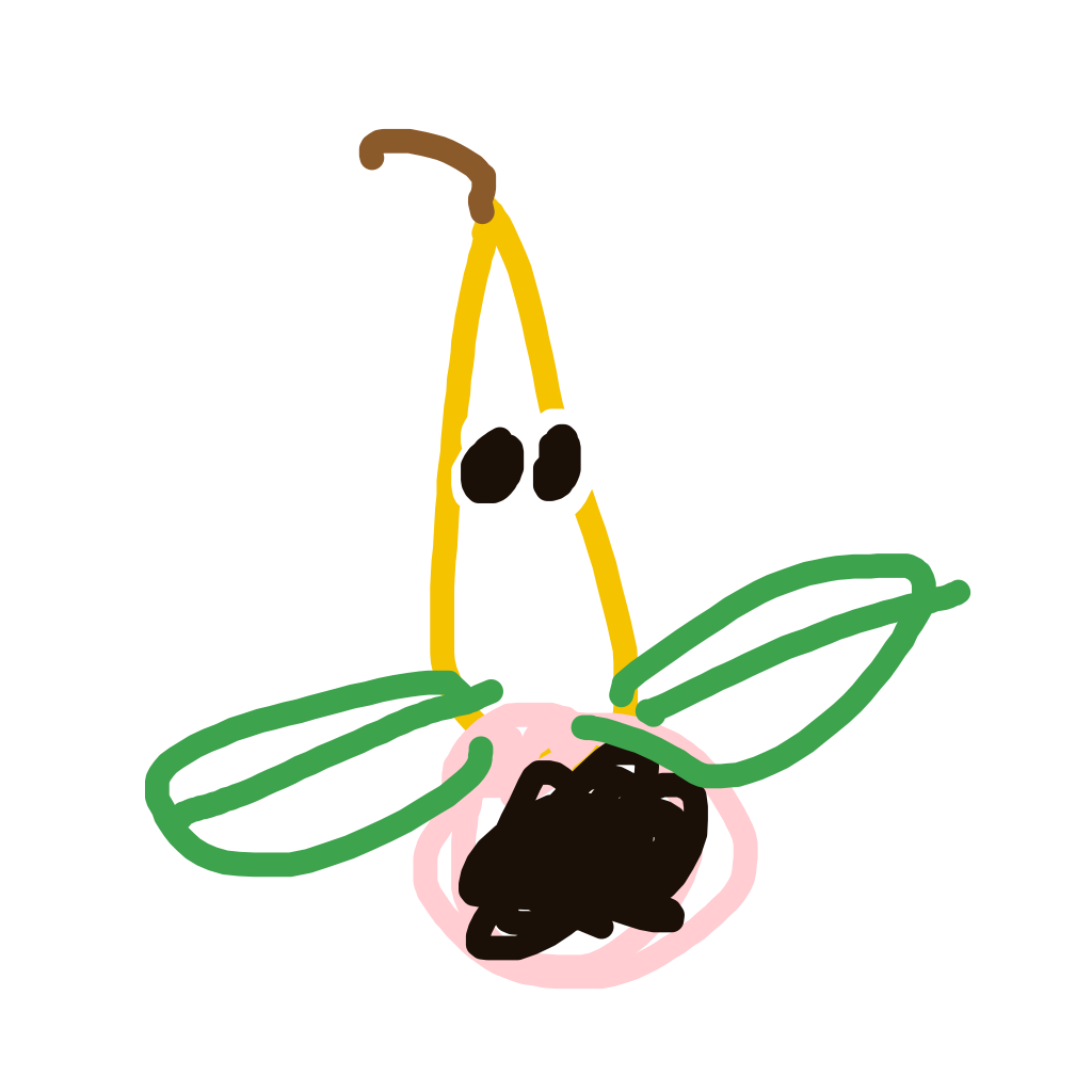 Weepinbell drawing