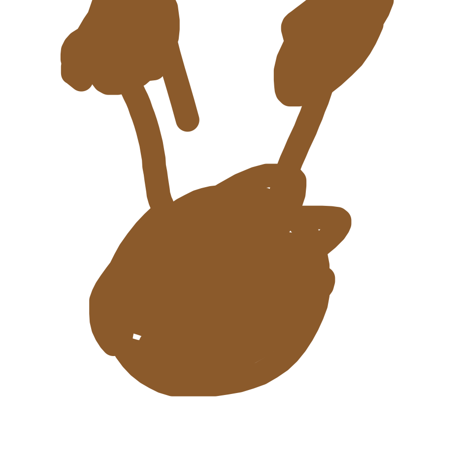 Doduo drawing