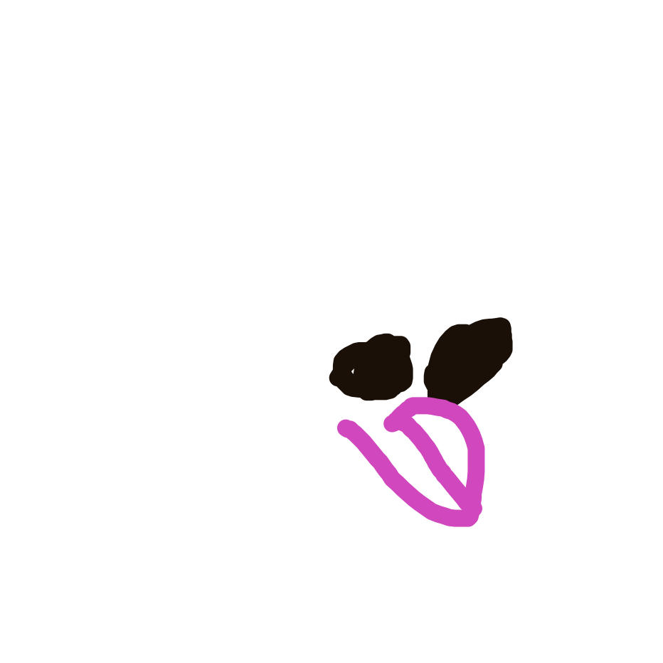 Seel drawing