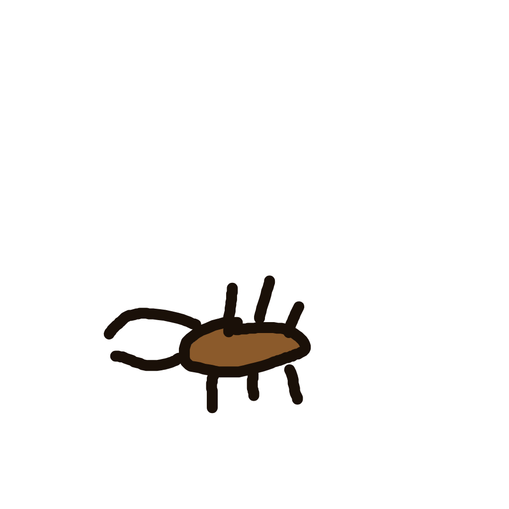 Pinsir drawing