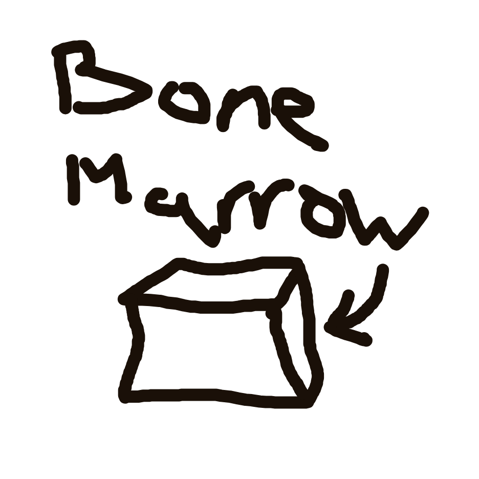 DEATH76's drawing of Cubone — Pokémon sketch on Sketchdex