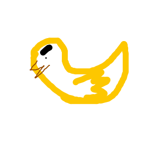 mimi's Pidgey